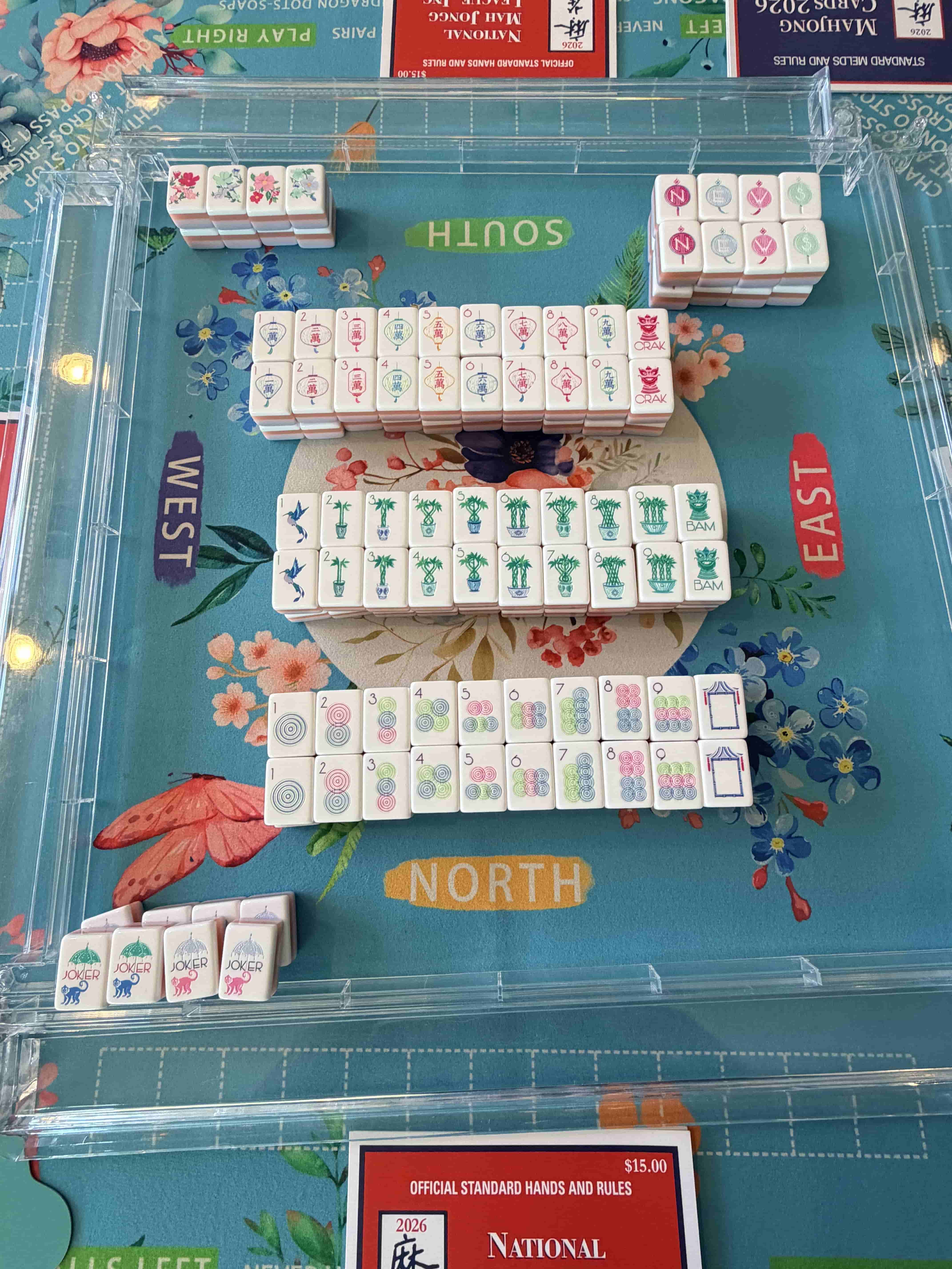 Vegas Mahjong Lessons with Jessica Gitlin — photo 23